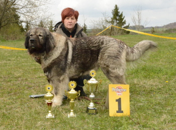 Ronja Abchazja, Bes. Kathrin und Steffen Hamann